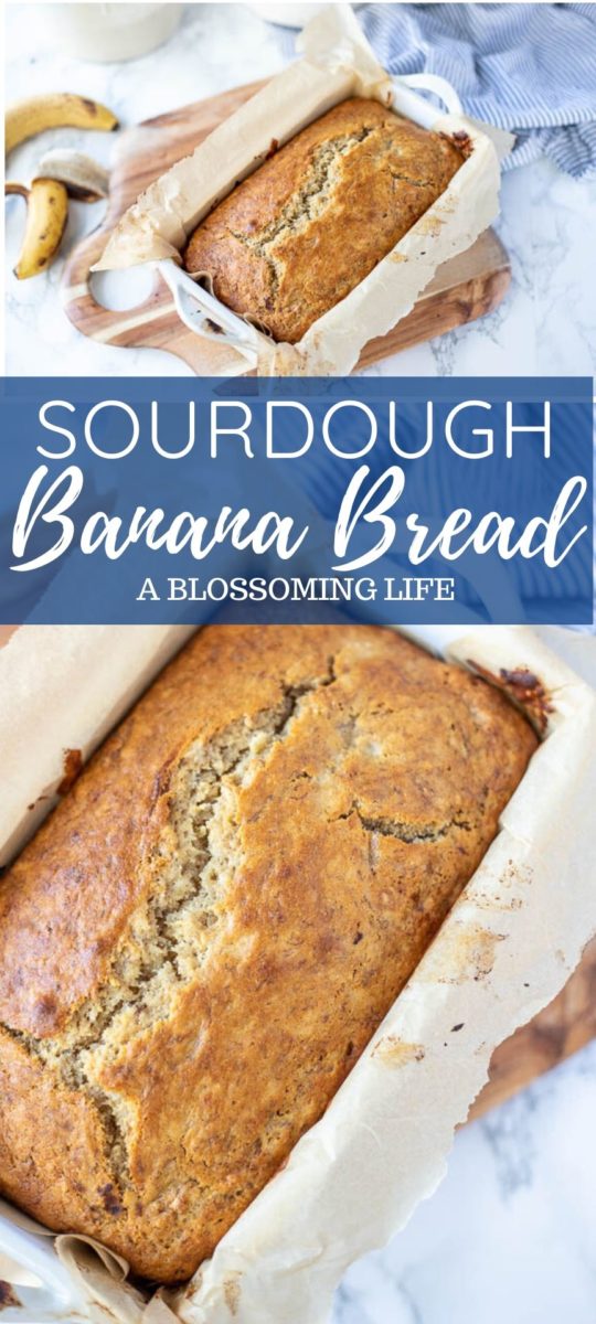 Sourdough Banana Bread A Blossoming Life