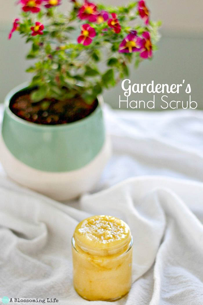 Homemade Gardener's Hand Scrub - Grit