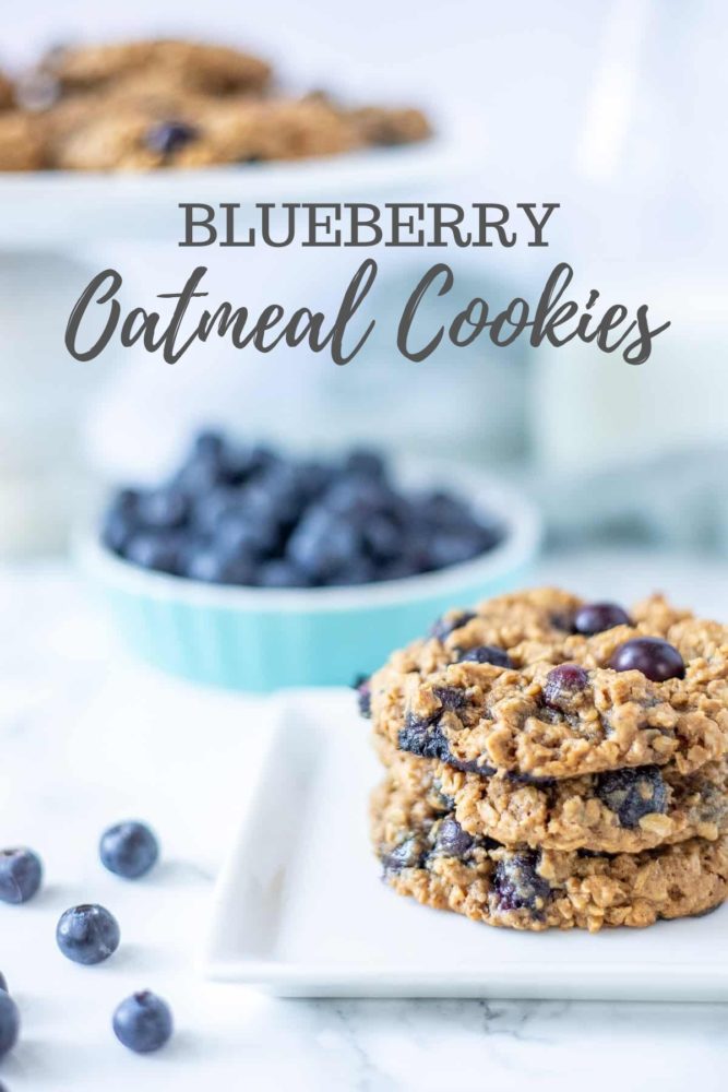 Best Blueberry Oatmeal Cookies - A Blossoming Life