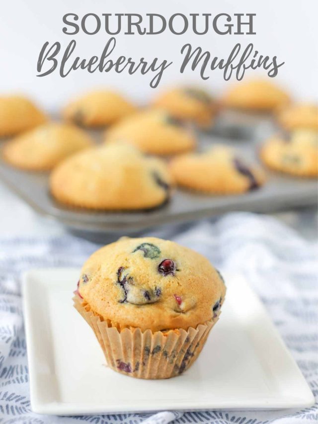 Sourdough Blueberry Muffins – Quick or Long Fermented