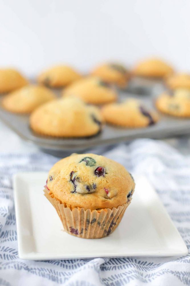 a single sourdough discard blueberry muffin on a white plate on top of a white and blue printed napkin with a muffin tin full of blueberry muffins in the background