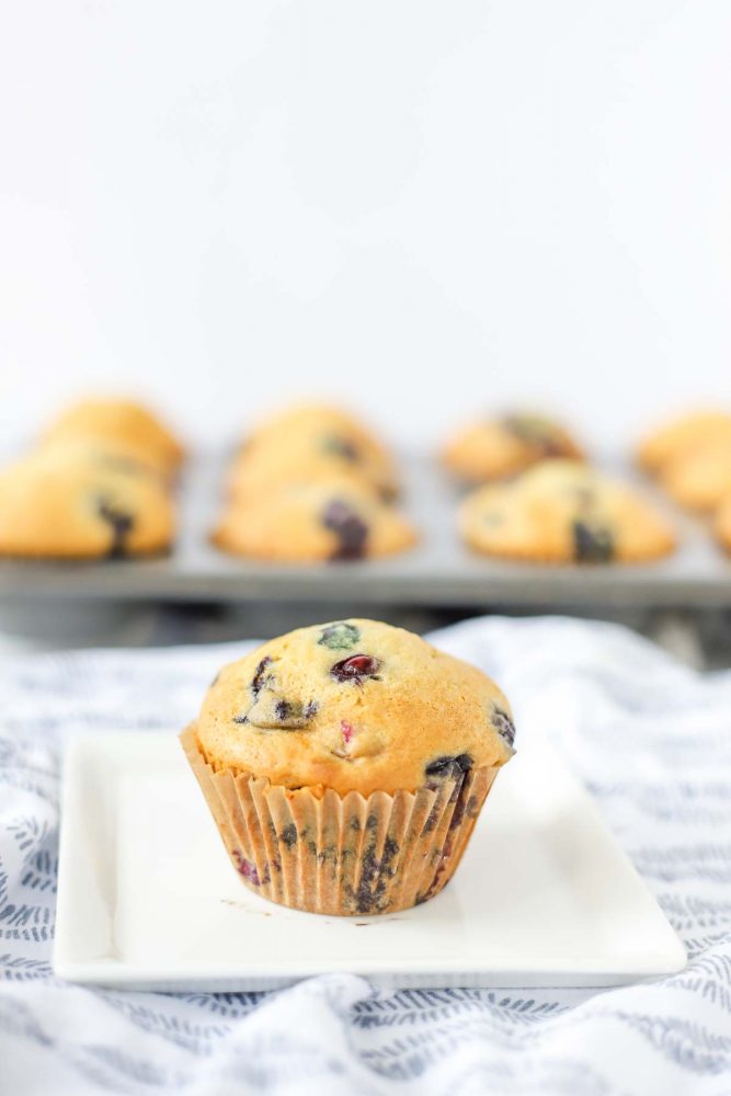 sourdough blueberry muffins on a white