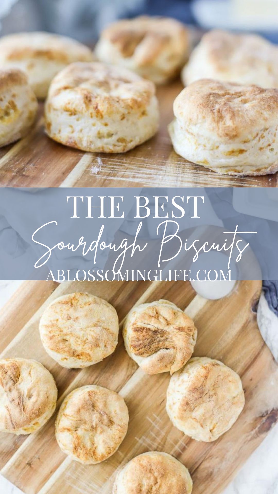 The Best Sourdough Biscuits - A Blossoming Life