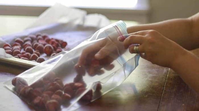 placing frozen strawberries into a freezer safe plastic bag