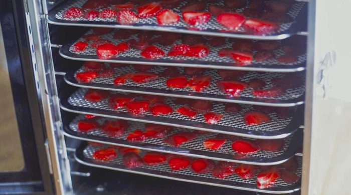 fresh sliced strawberries on dehydrator pans in the dehydrator