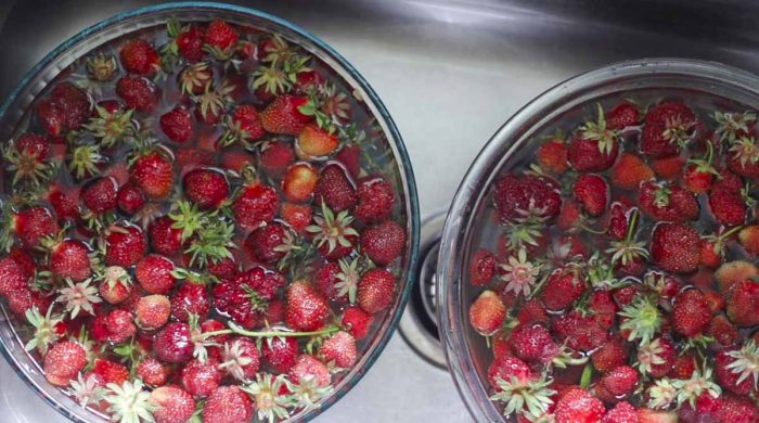 soaking strawberries in two bowl with water and vinegar in a sink