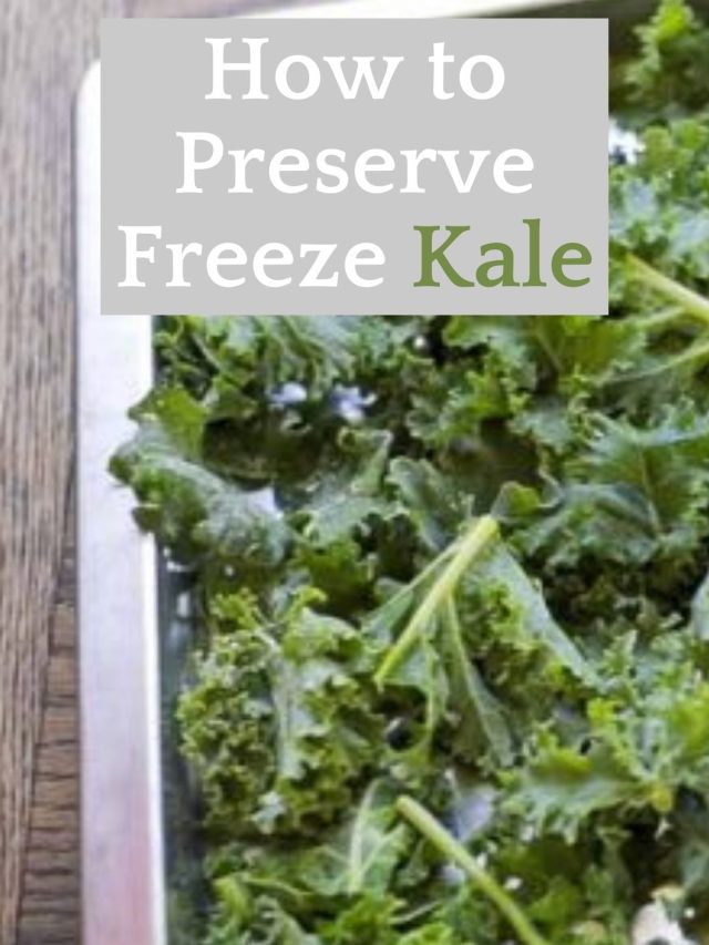 How To Freeze Kale – 2 Ways