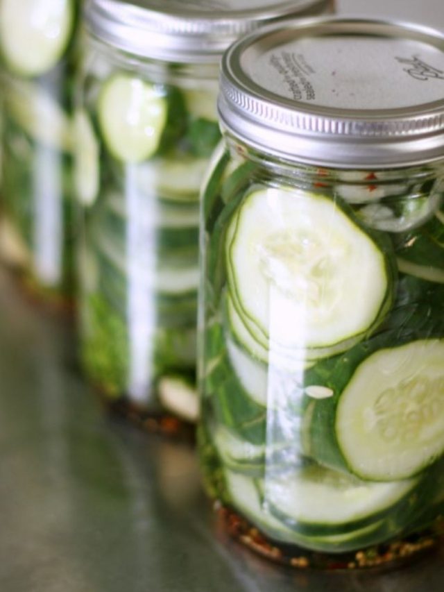 Refrigerator Dill Pickles Recipe