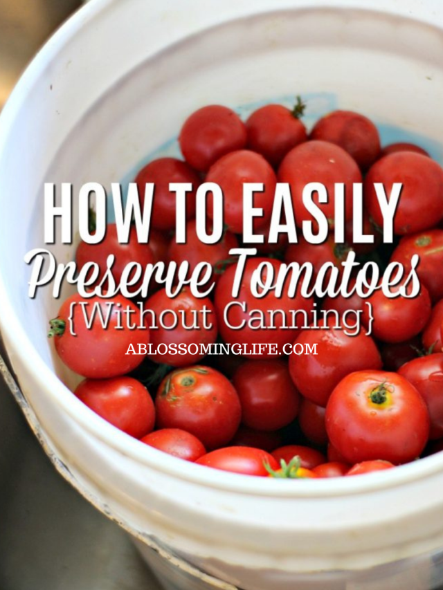 How To Preserve Tomatoes Without Canning