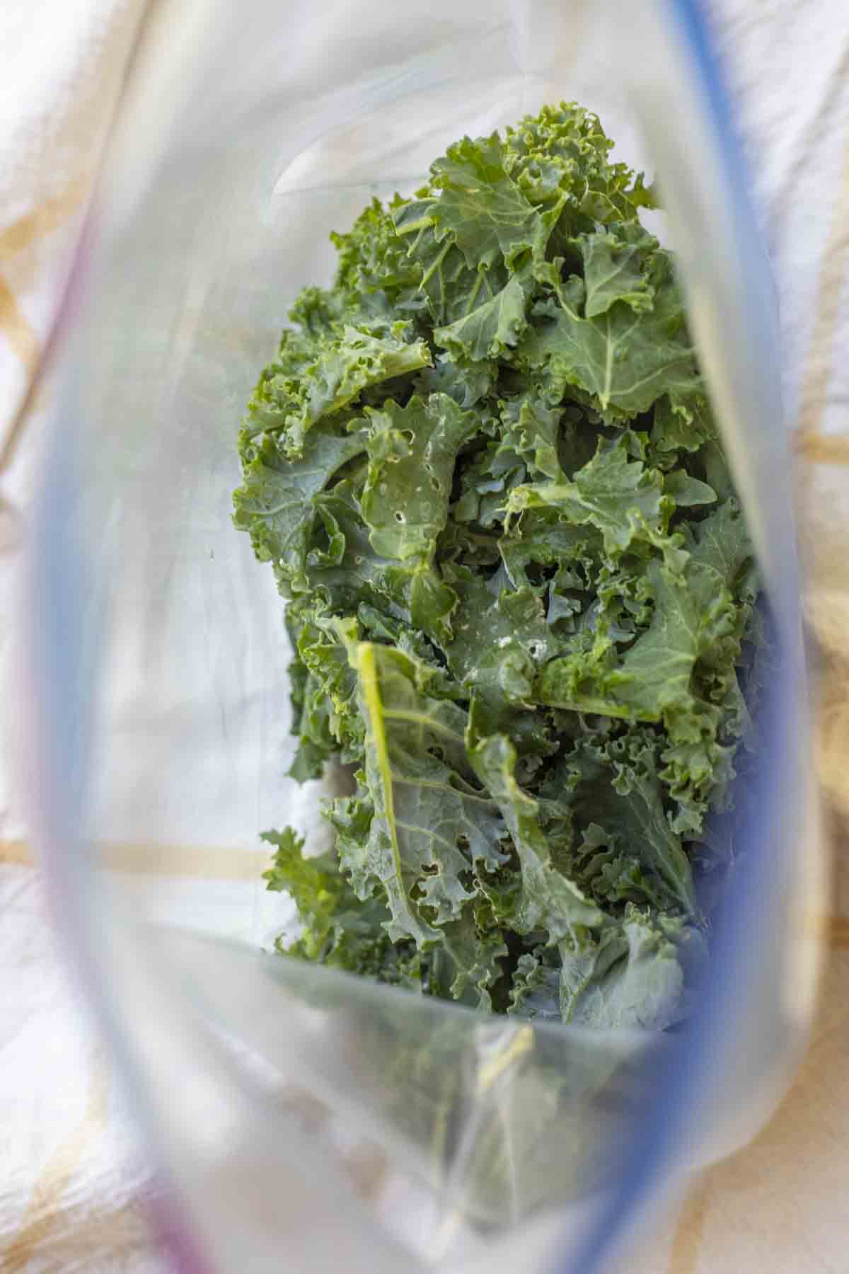 How to Freeze Kale – 2 Easy Ways