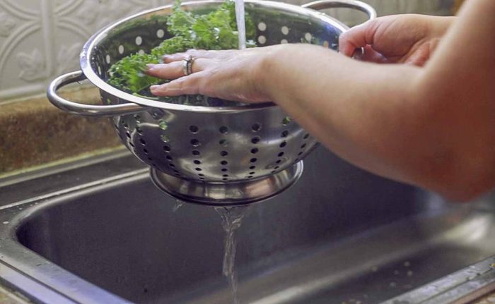 washing kale in a metal colander over a metal sink 