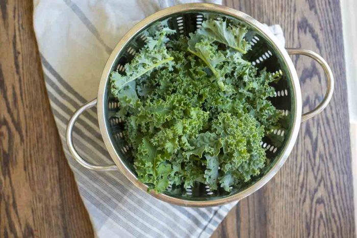 Preserving Kale  How to freeze and dehydrate Kale 