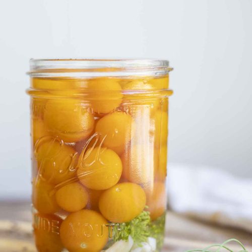 pickled cherry tomatoes in a jar with dill and garlic on a wood countertop with more dill to the right