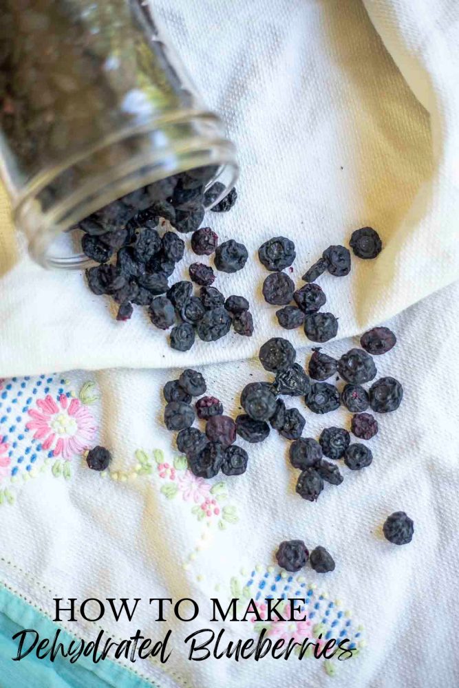 a jar of dehydrated blueberries spilled out on a white towel with stitching
