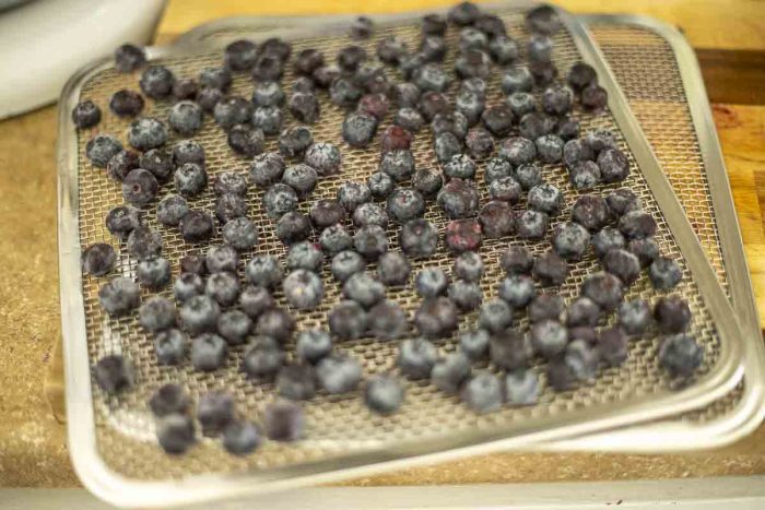 blueberries on dehydrator trays on a wood cutting board