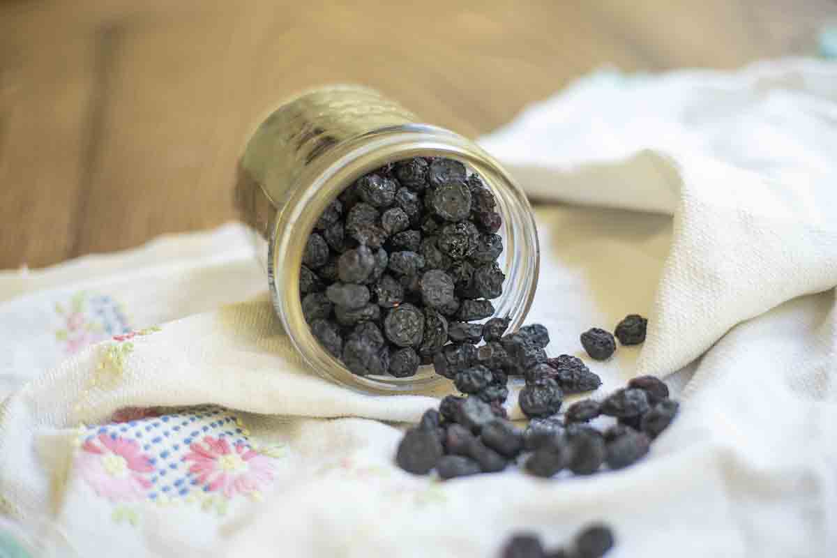 How To Dehydrate Blueberries - A Blossoming Life