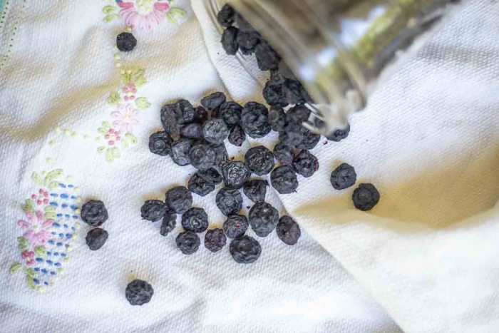 overhead photo of dehydrated blueberries in a jar tipped over on a white towel