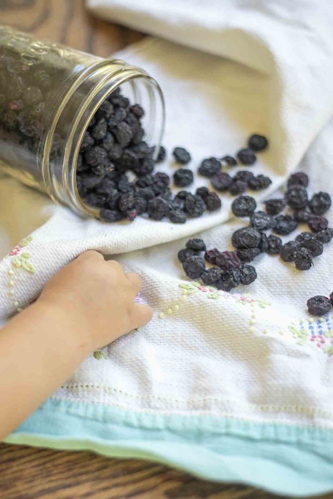 baby hand stealing dehydrated blueberries from a jar tipped over on a white towel