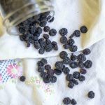 a jar of dehydrated blueberries spilled out on a white towel with stitching.