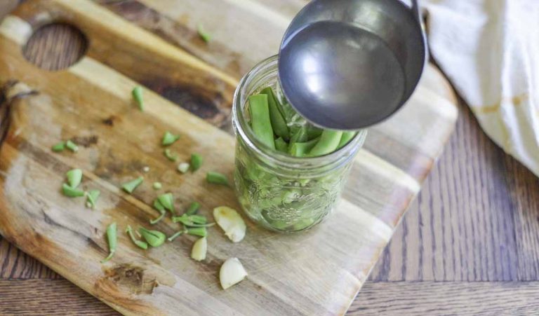 Quick Pickled Green Beans - A Blossoming Life