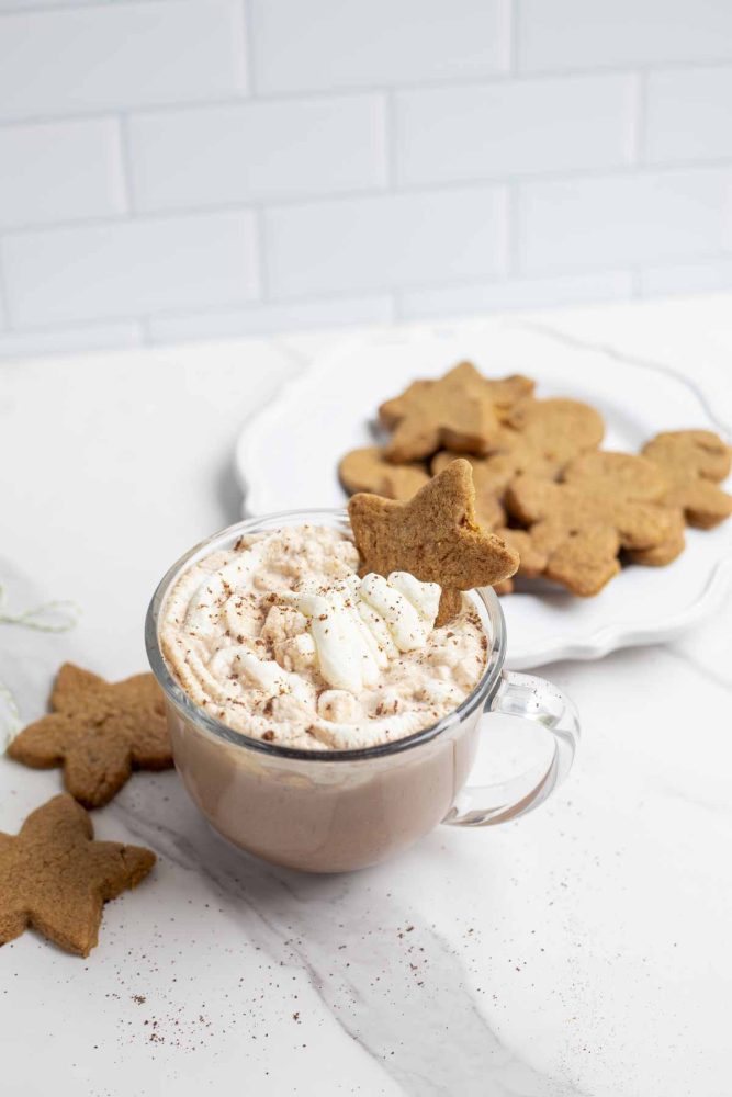 mug of gingerbread hot cocoa topped with fresh whipped cream, a cookie, and a sprinkle of cinnamon. The mud is on a marble countertop surrounded by cookies