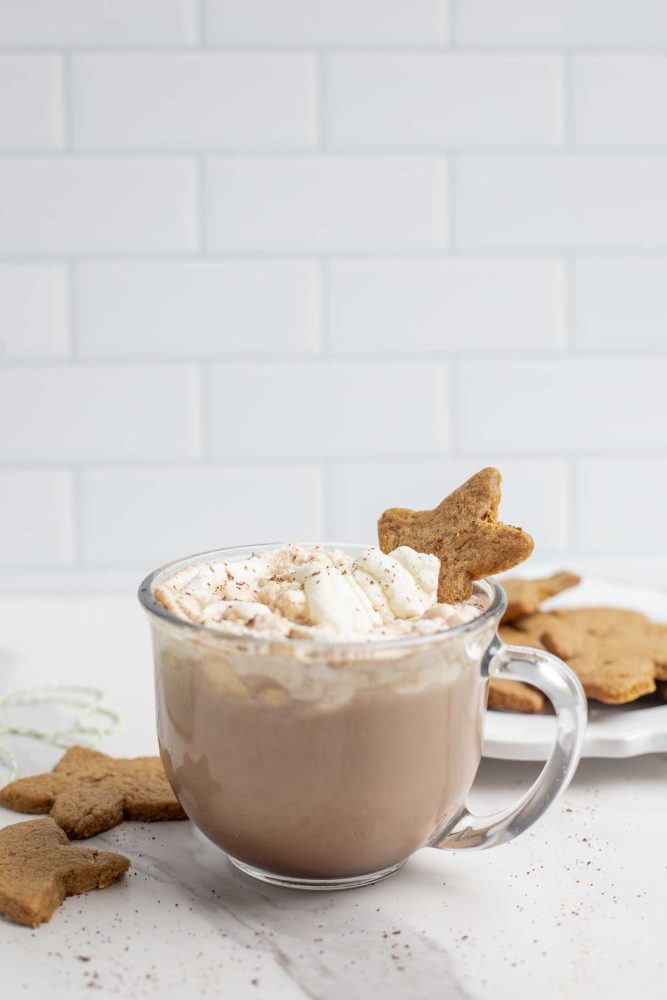 glass mug of gingerbread hot chocolate topped with whipped cream, cinnamon, and a star shaped cookie. The mug sits on a marble counter surrounded by gingerbread cookies