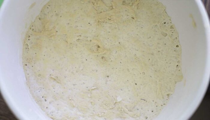 bread dough after the first proof