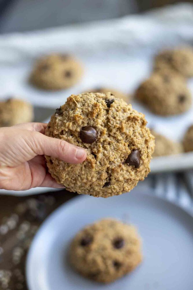 hand holding a sourdough oatmeal breakfast cookie in the air. A grab plate with cookies and a baking sheet of cookies are below