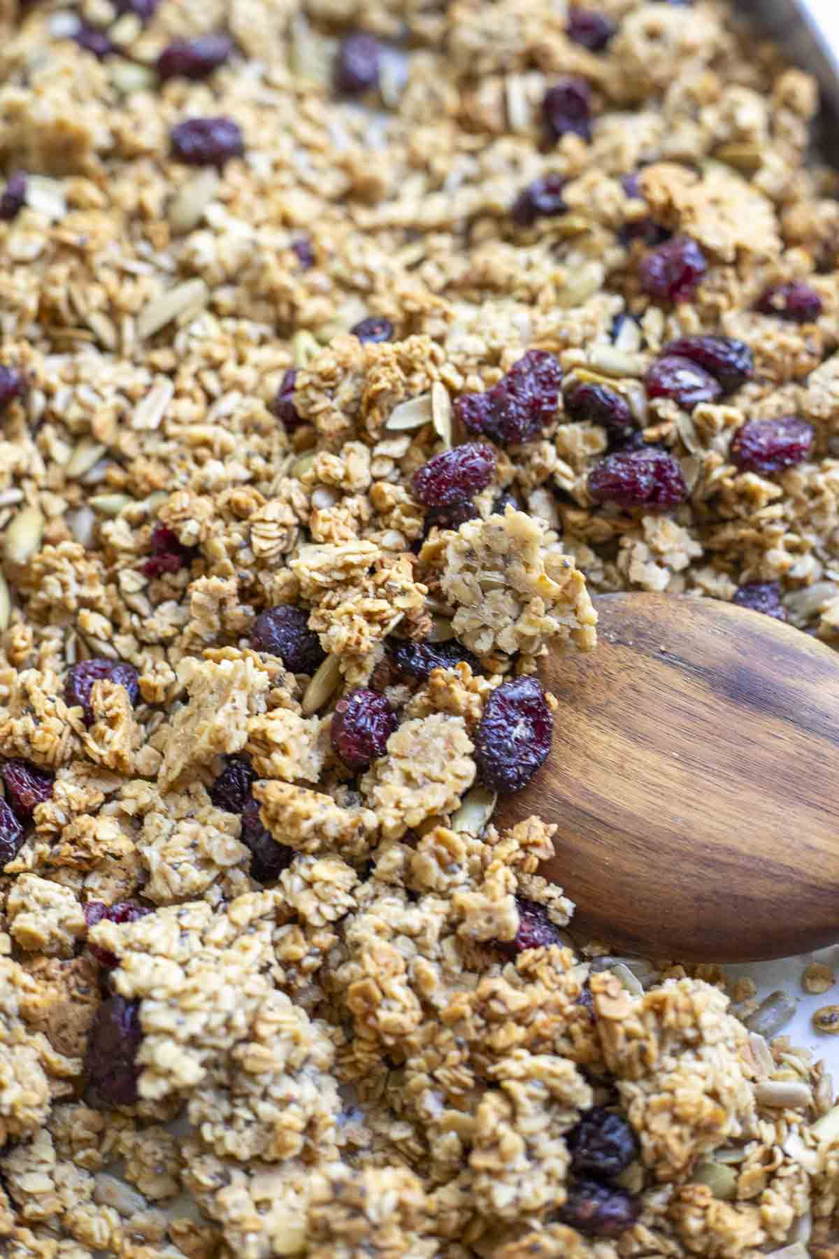 Close up picture of sourdough granola with craisins, pumpkin seeds and sunflower seeds on a baking sheet with a wooden spoon.