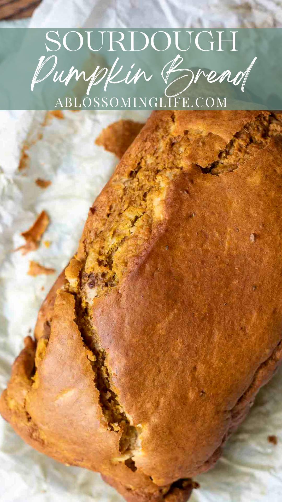 Sourdough Pumpkin Bread - A Blossoming Life