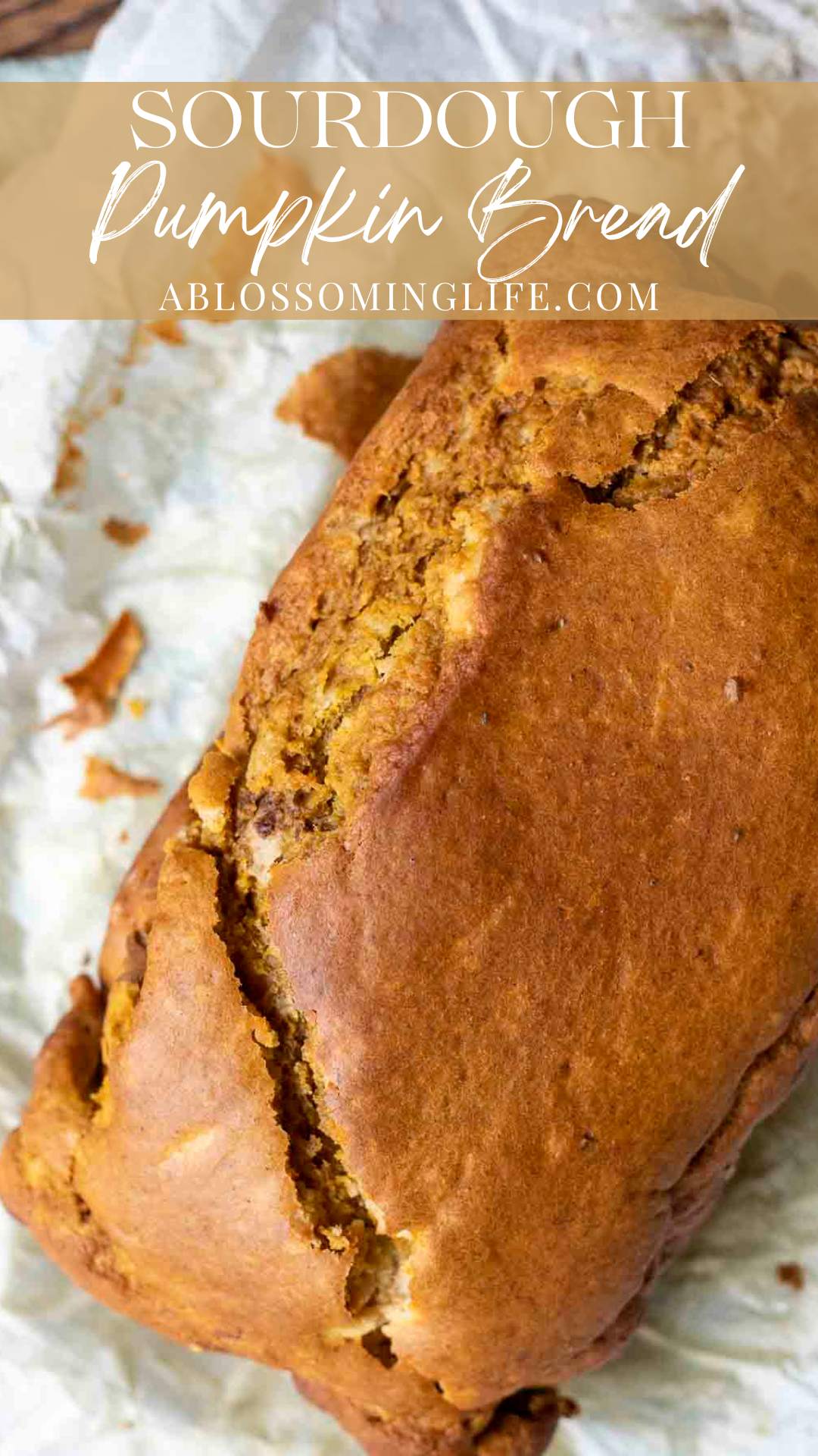 Sourdough Pumpkin Bread - A Blossoming Life