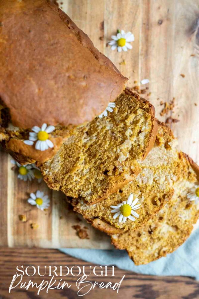 loaf of sourdough pumpkin bread with half the loaf sliced on a cutting board. Chamomile flowers are dispersed throughout