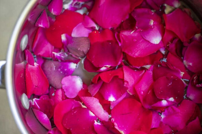 pink flower petals in a pot with water.