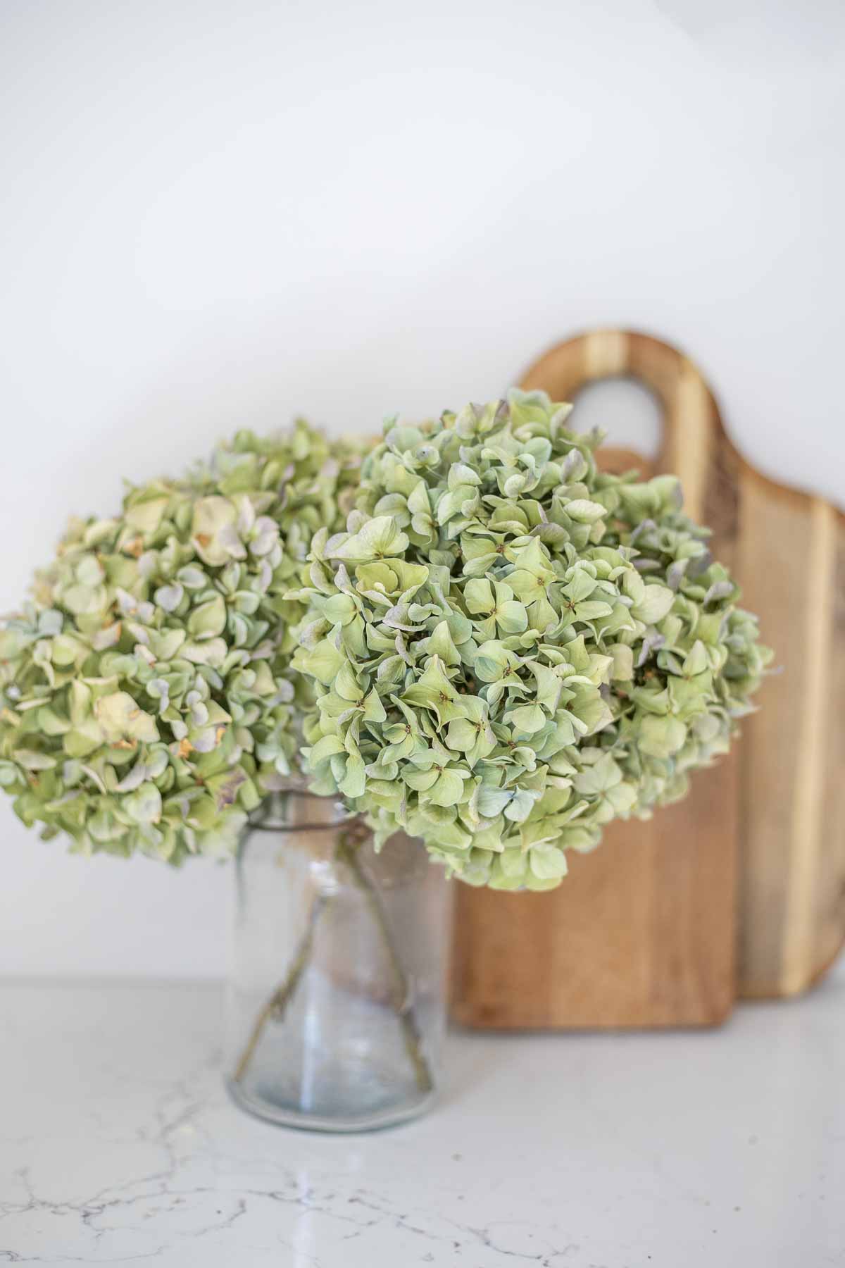 Dried hydrangeas in a glass jar with cutting boards behind the flowers.