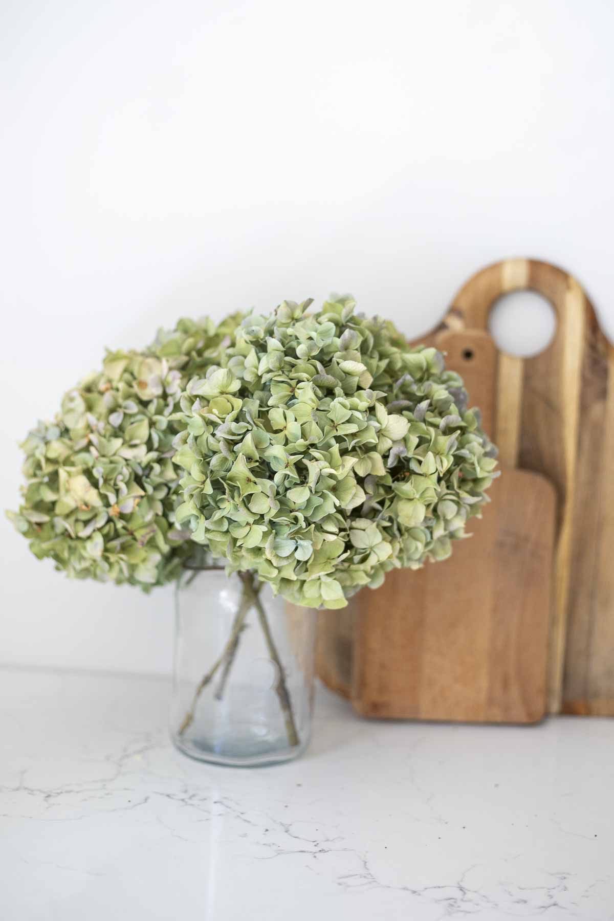 Dried hydrangeas in a vintage jar on a white countertop.