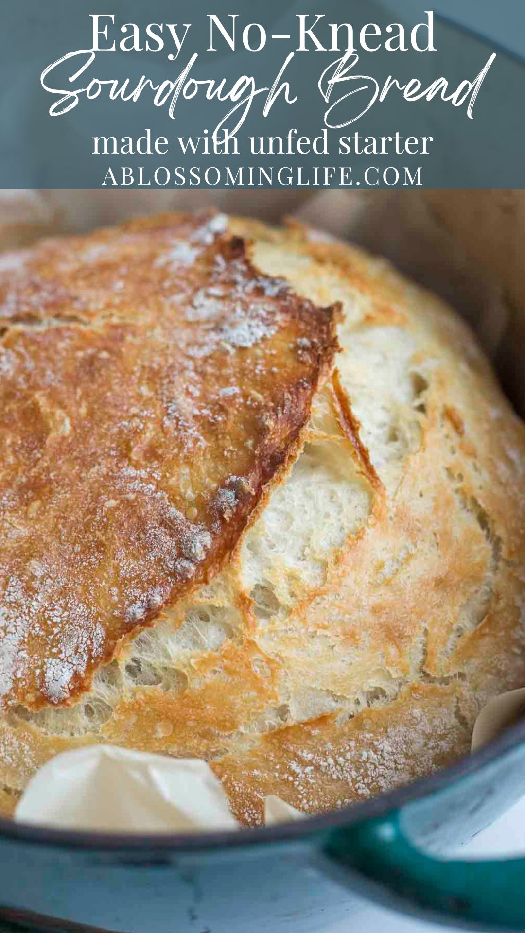 Easy No-Knead Sourdough Bread For Beginners - A Blossoming Life