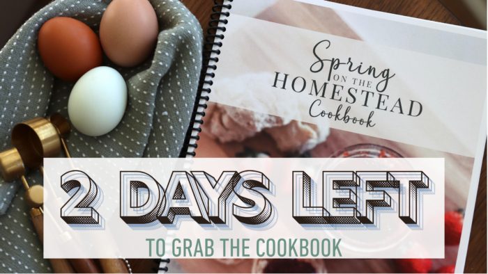 eggs in a basket next to a cookbook.