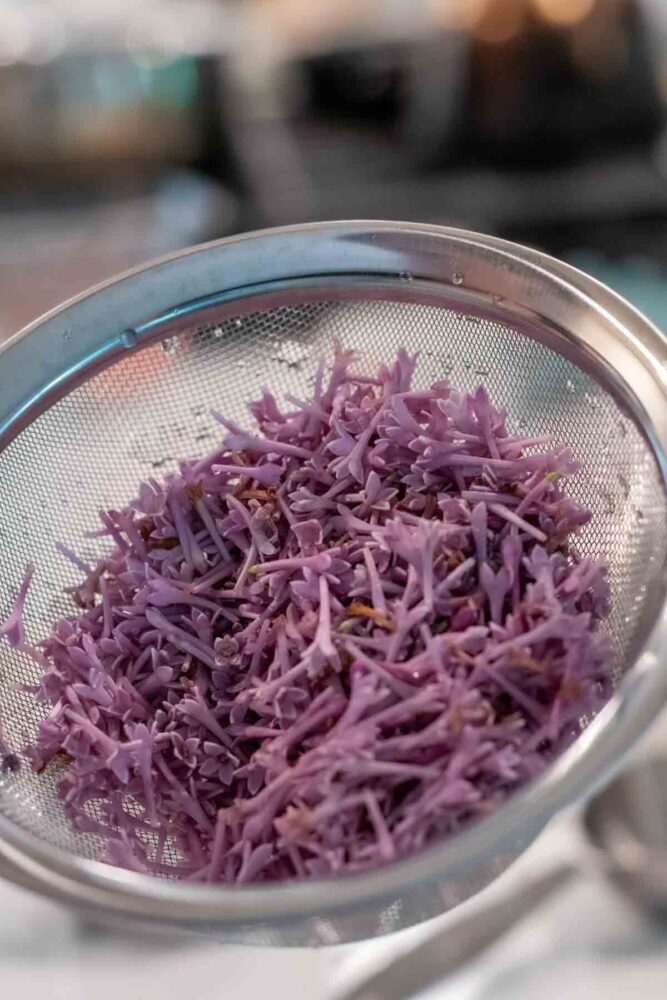 Lilac petals rinsed in a fine mesh strainer.
