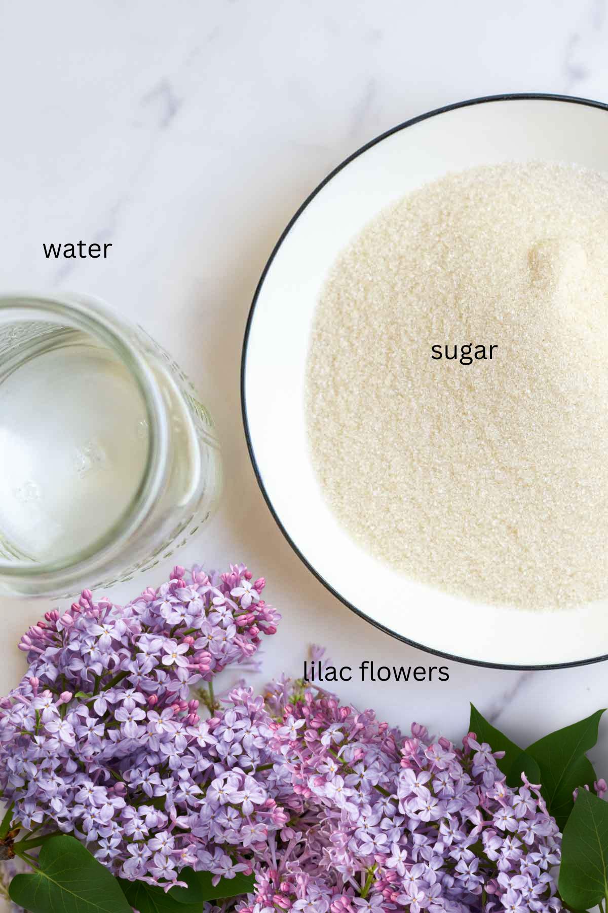 a bowl of sugar, a cup of water, and lilac flowers on a countertop.