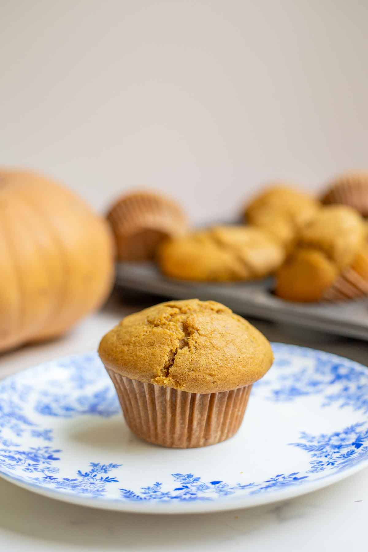 Sourdough pumpkin muffin on a blue and white floral plate with a pumpkin and more muffins in the background.