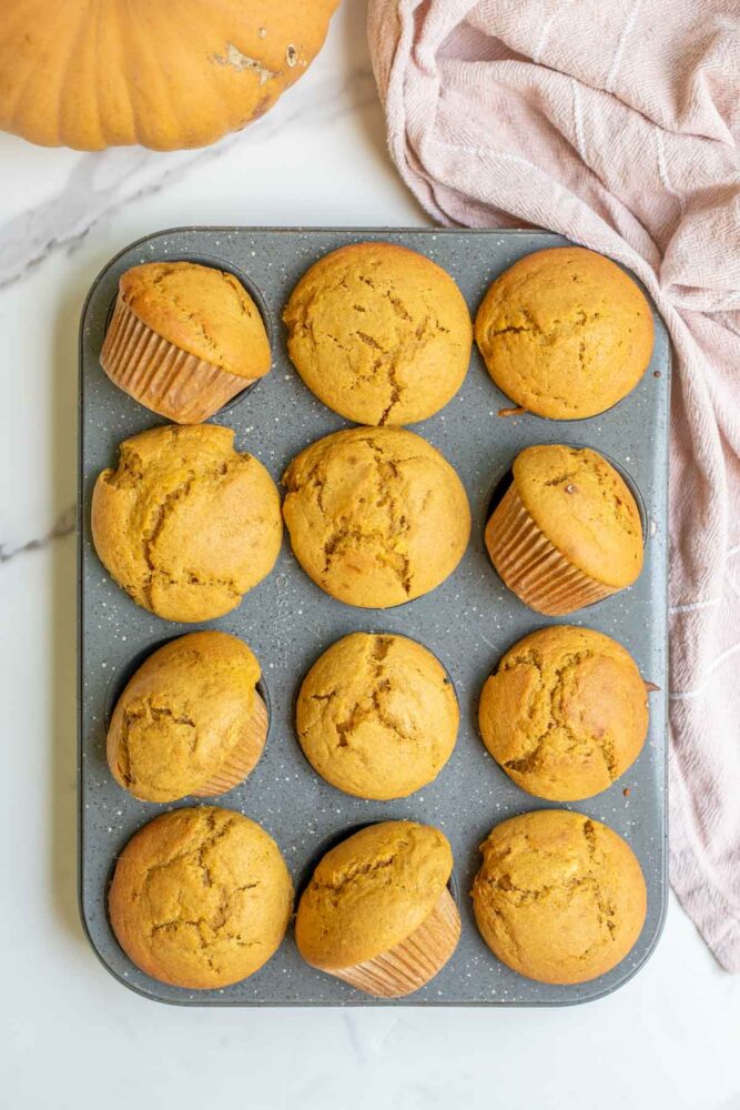 Muffin pan full of sourdough pumpkin muffins next to a pink towel.