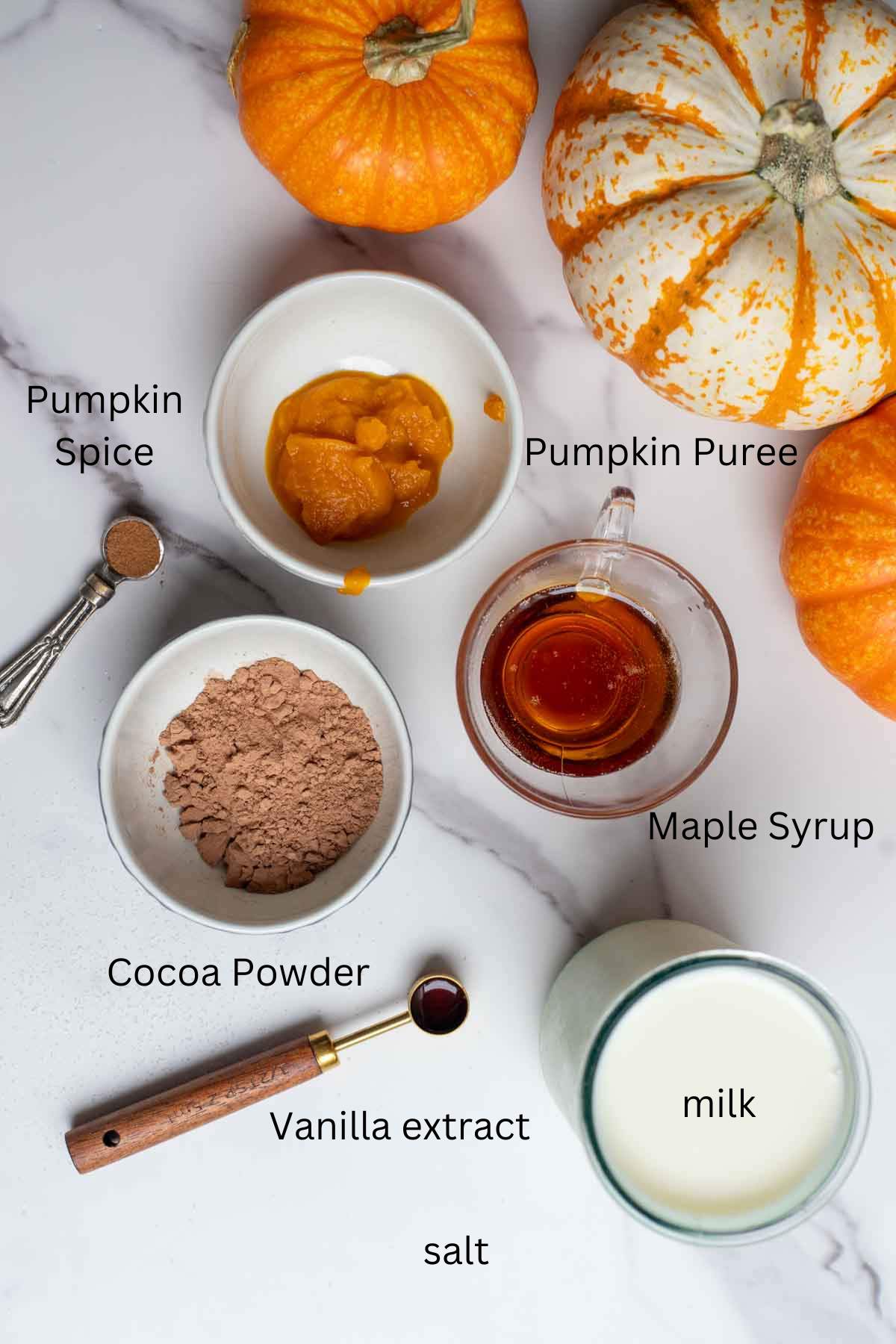 Cocoa powder, pumpkin puree, maple syrup, vanilla extract, milk and other ingredients in cups and bowls on a countertop.