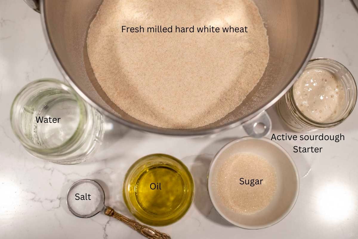 A stainless bowl of wheat flour, and jars of sourdough starter, oil, water, salt and sugar on a countertop.