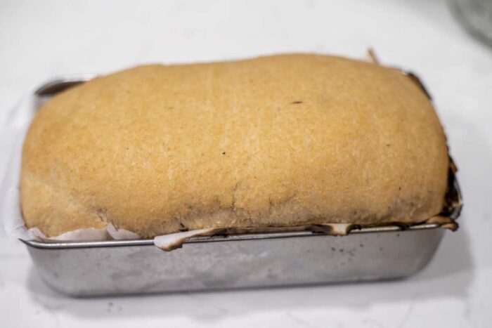 whole wheat sourdough sandwich bread dough risen in a loaf pan.