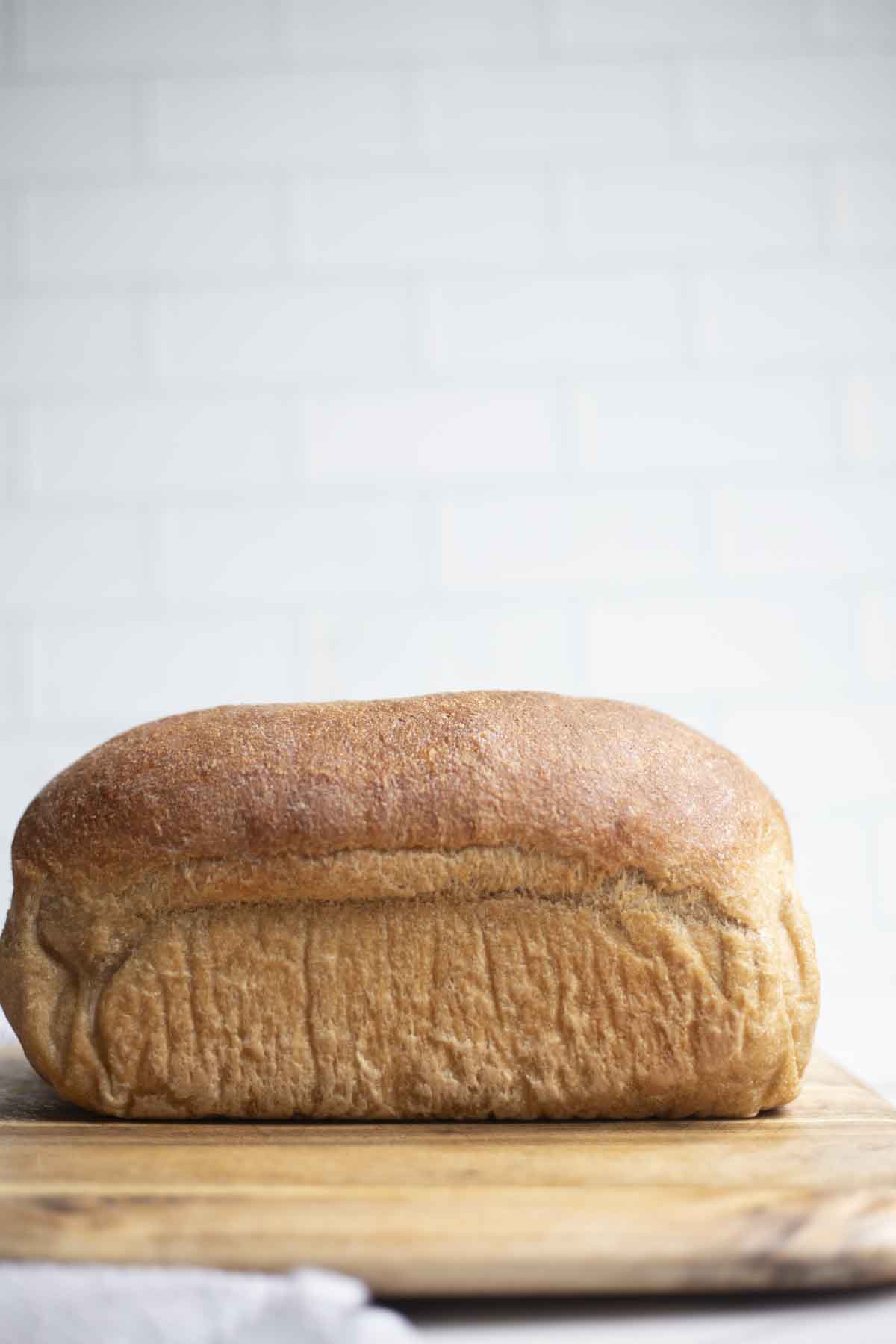 The Best Whole Wheat Sourdough Sandwich Bread - A Blossoming Life
