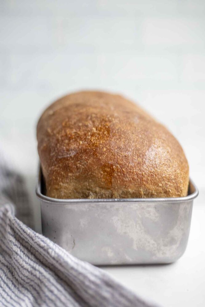 Whole wheat sourdough bread in a loaf pan with a towel to the left.