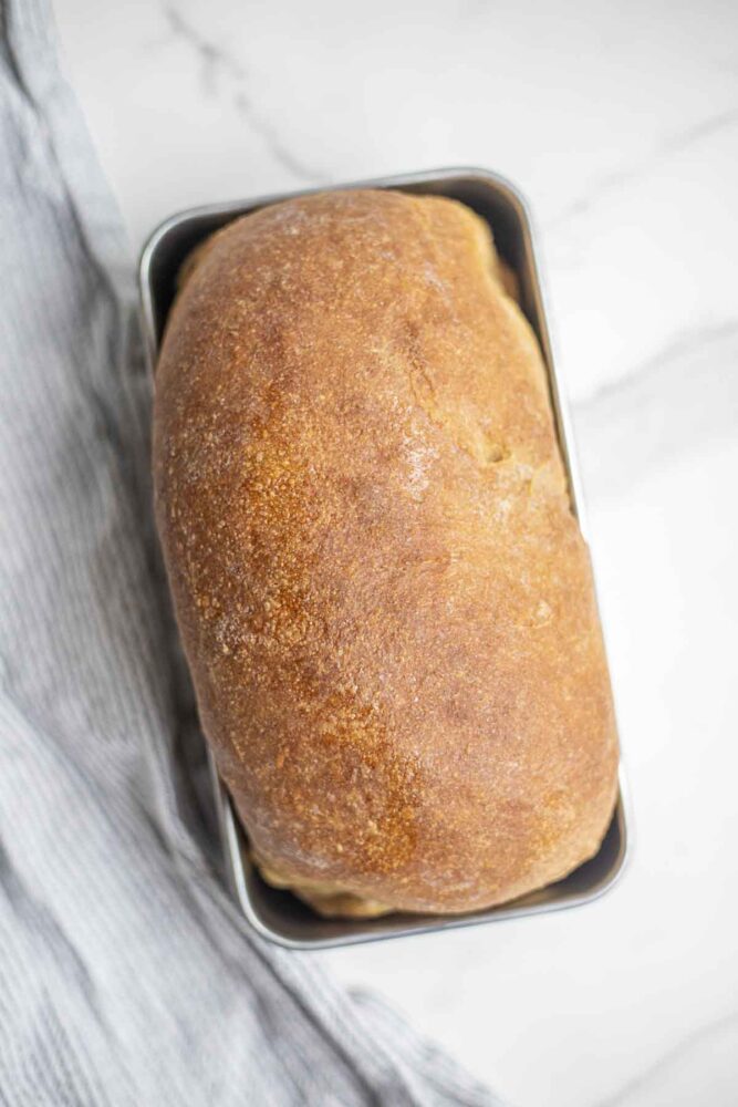 Overhead photo of whole wheat sourdough bread in a loaf pan.