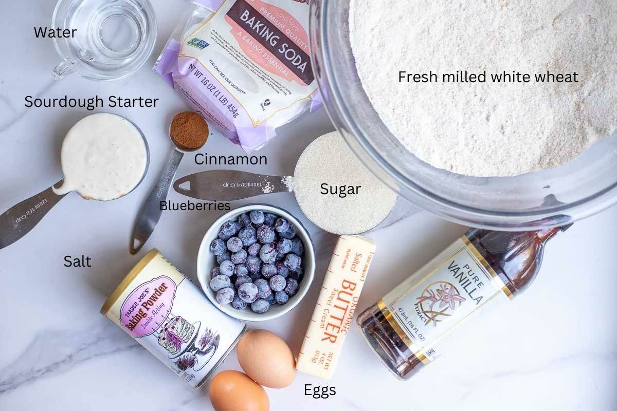 fresh milled flour in a glass bowl with sugar, blueberries, eggs, sourdough starter and other ingredients surrounding it.