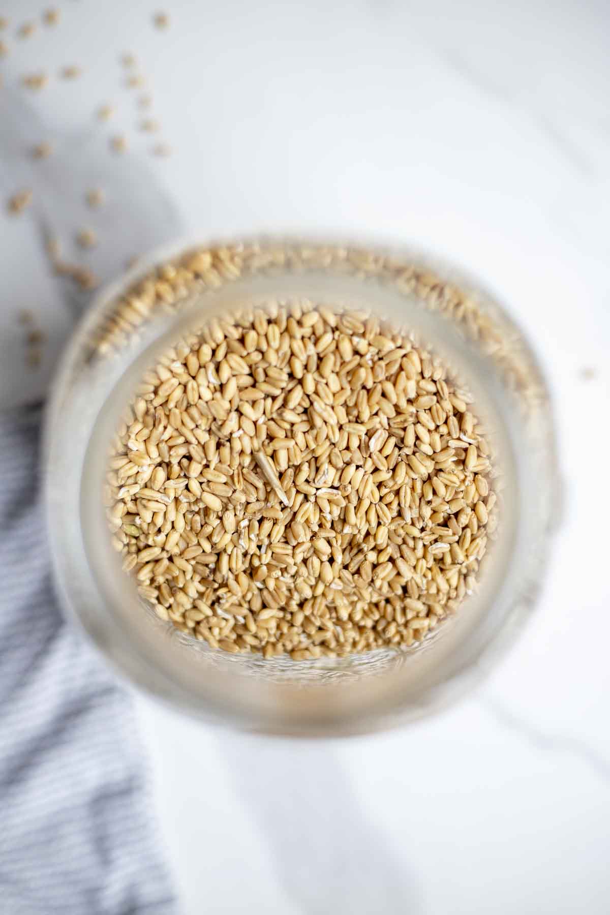 Overhead photo of wheat berries in a glass mason jar on a countertop.