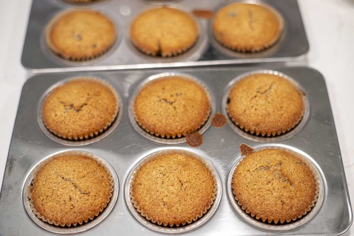 Baked whole wheat sourdough chocolate chip muffins in a muffin pan.